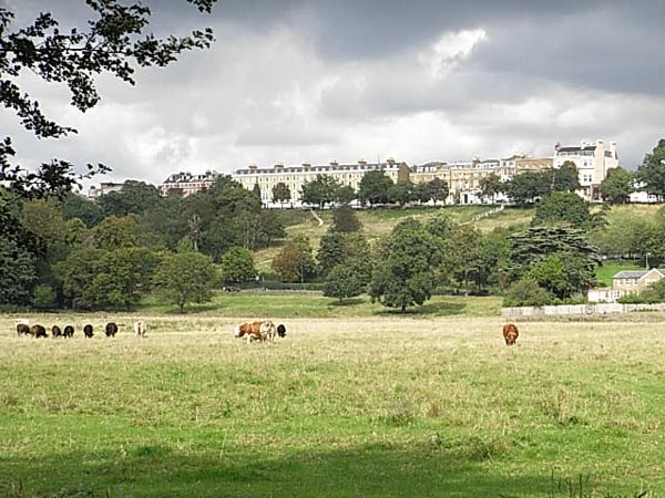 Petersham Meadows